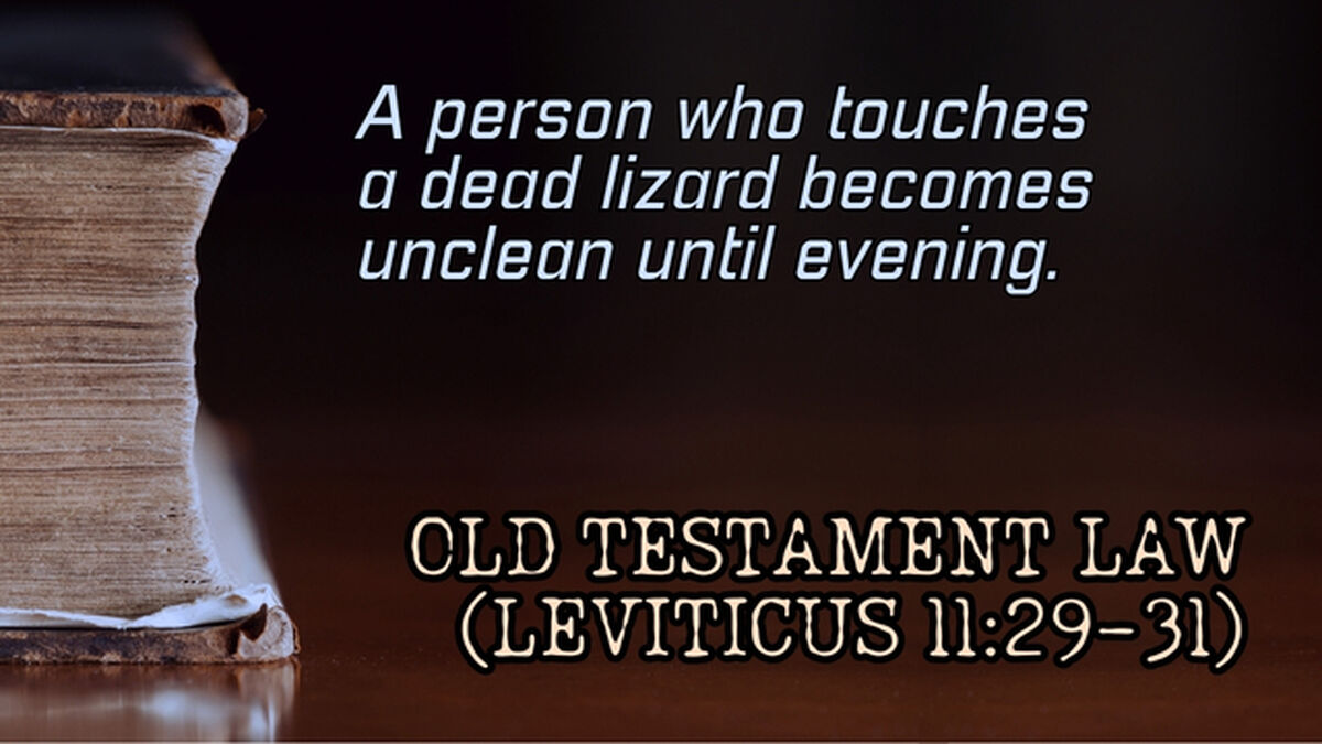 Chat GPT or Old Testament Law image number null